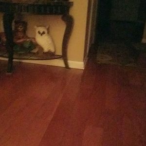 Meet your Posher, Tameka